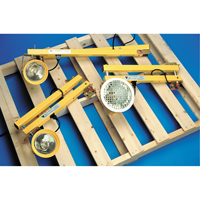 Lampes pour les quais, Bras 60", Ampoule Incandescente, M&eacute;tal Sécurité Médic