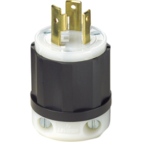 Industrial Grade Locking Device, Nylon, 30 Amps, 125 V, L5-30P Sécurité Médic