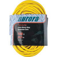 Vinyl Extension Cord, Outdoor, SJTW, 12/3 AWG, 15 A, 100' Sécurité Médic