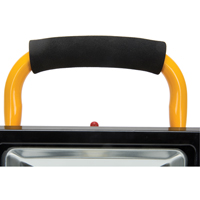 Portable Work Light, LED, 20 W, 2500 Lumens, Aluminum Housing Sécurité Médic