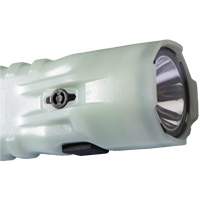 Flashlight, LED, 378 Lumens, AA Batteries Sécurité Médic