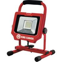 Work Light, LED, 20 W, 3000 Lumens, Aluminum Housing Sécurité Médic