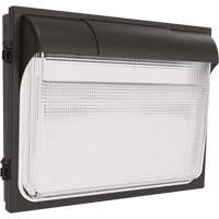 TWX3 Wall Luminaire, LED, 347 V, 14" H x 18" W x 5" D Sécurité Médic