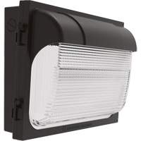 TWX Wall Luminaire, LED, 480 V, 9 W - 54 W, 14" H x 18" W x 5" D Sécurité Médic
