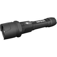 Virtually Indestructible Flashlight, LED, 350 Lumens, AA Batteries Sécurité Médic