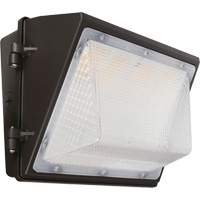 Non-Cutoff Wall Pack, LED, 120 - 277 V, 75 - 110 W, 9.33" H x 6.65" W x 14.5" D Sécurité Médic