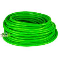 Industrial Extension Cord, All-Weather, SJTW, 10/3 AWG, 15 A, 50' Sécurité Médic
